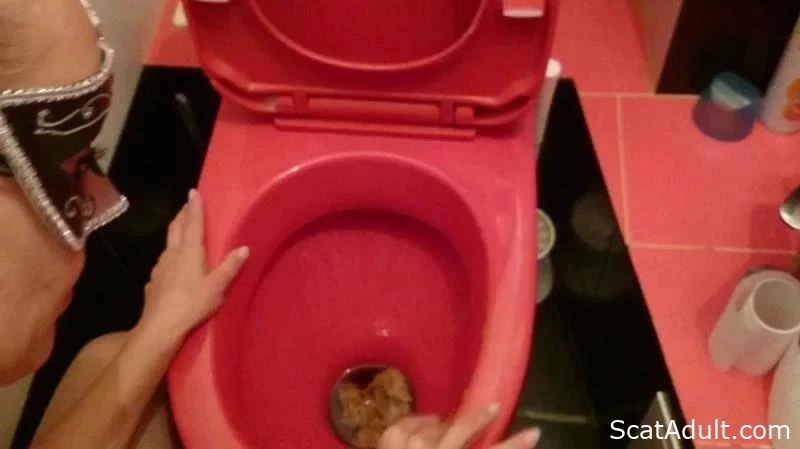 Loose Stool Logic: A Girls Take On Toilet Time - VibeWithMolly